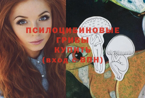 spice Слюдянка