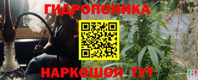 стафф Кандалакша
