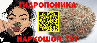 альфа пвп Камышлов