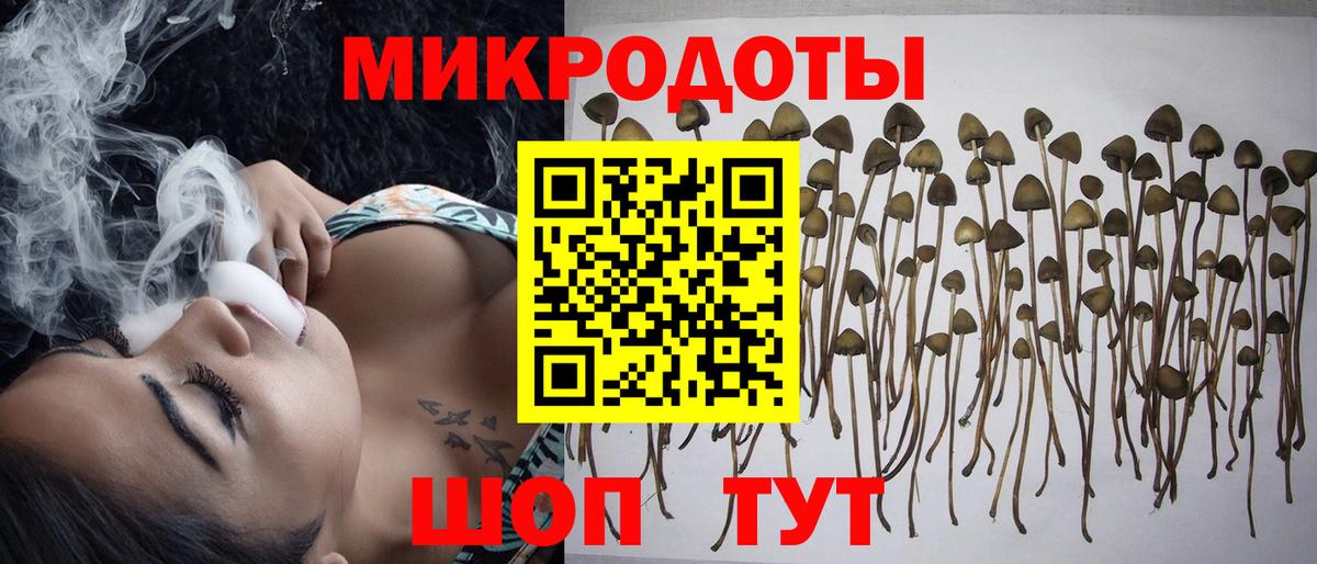 Галлюциногенные грибы мухоморы Ноябрьск
