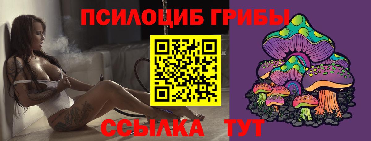 Ноябрьск  Галлюциногенные грибы мицелий  Галлюциногенные грибы ЛСД  Вход с VPN 